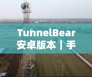 TunnelBear安卓版本|手机VPN连接教程