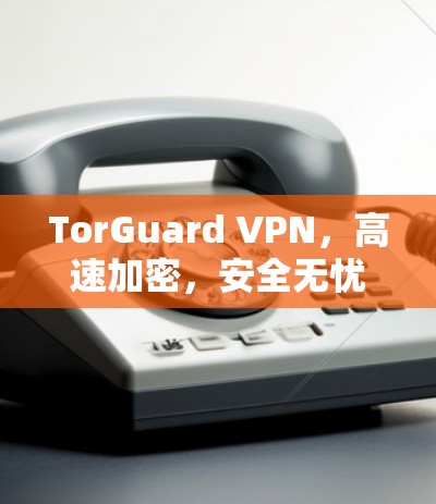 TorGuard VPN,高速加密,安全无忧,为你打造高效通信环境 TorGuard VPN,高速加密,安全无忧,为你打造高效通信环境