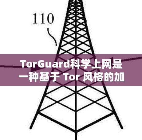 TorGuard科学上网是一种基于 Tor 风格的加密VPN服务，使用 Bit serial 连接，提供高安全性、低延迟的加密传输。以下是对 TorGuard科学上网的详细分析