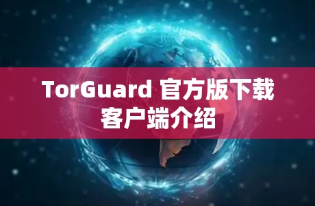 TorGuard 官方版下载客户端介绍
