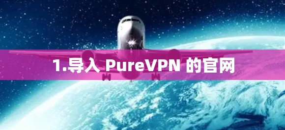 1.导入 PureVPN 的官网