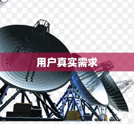 用户真实需求 用户真实需求