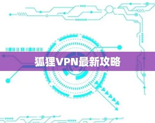 狐狸VPN最新攻略