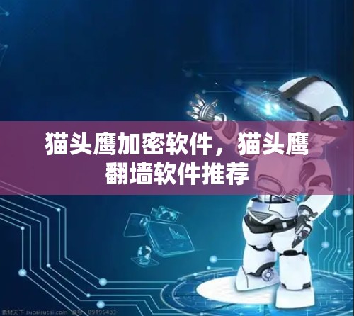 猫头鹰加密软件,猫头鹰翻墙软件推荐 猫头鹰加密软件,猫头鹰翻墙软件推荐