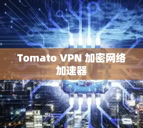 Tomato VPN 加密<strong>网络加速</strong>器