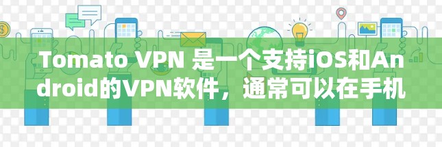 Tomato VPN 是一个支持iOS和Android的<strong>VPN软件</strong>,通常可以在手机上进行连接。以下是解决Tomato VPN 连接问题的步骤