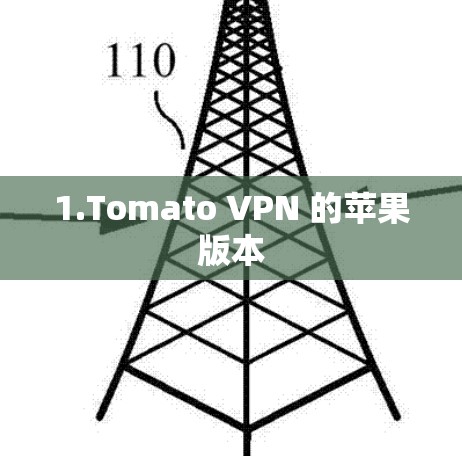 1.Tomato VPN 的苹果版本