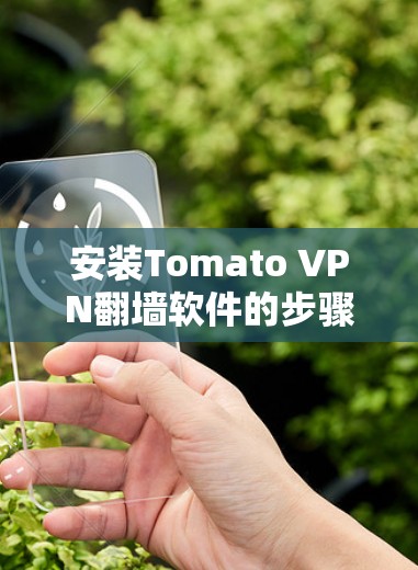 安装Tomato VPN翻墙软件的步骤如下