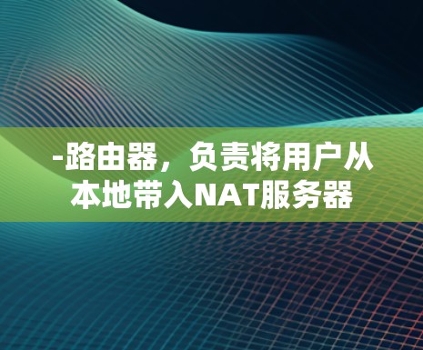 -路由器，负责将用户从本地带入NAT服务器