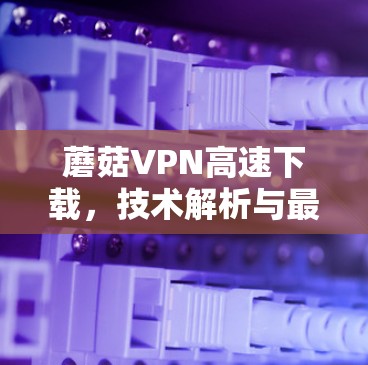 蘑菇VPN高速下载,技术解析与最佳实践