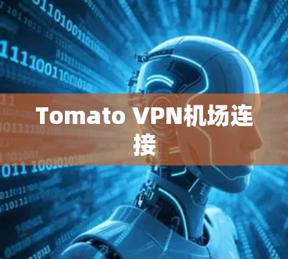 Tomato VPN机场连接