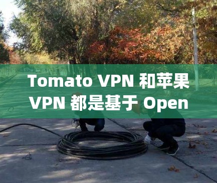 Tomato VPN 和苹果VPN 都是基于 OpenVPN 的工具，但它们的使用方式和安全性有所不同。以下是一些关键点，帮助你更好地了解和使用这两个工具