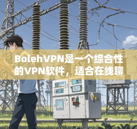 BolehVPN是一个综合性的<strong>VPN软件</strong>,适合在线聊天、观看视频以及处理其他在线事务。以下是对该服务的详细介绍