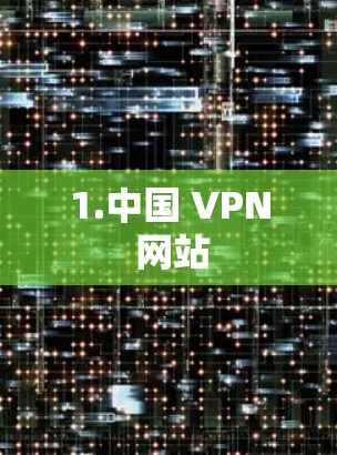 1.中国 VPN 网站
