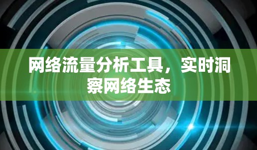 网络流量分析工具,实时洞察网络生态 网络流量分析工具,实时洞察网络生态