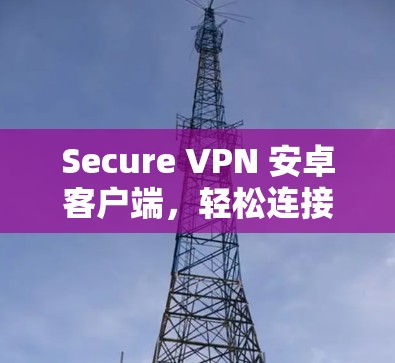 Secure VPN 安卓客户端，轻松连接手机的高效通信解决方案