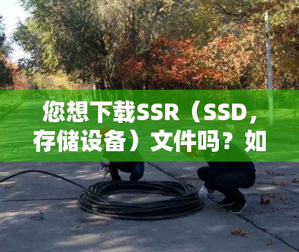 您想下载SSR（SSD，存储设备）文件吗？如果是这样的话，您可以按照以下步骤操作
