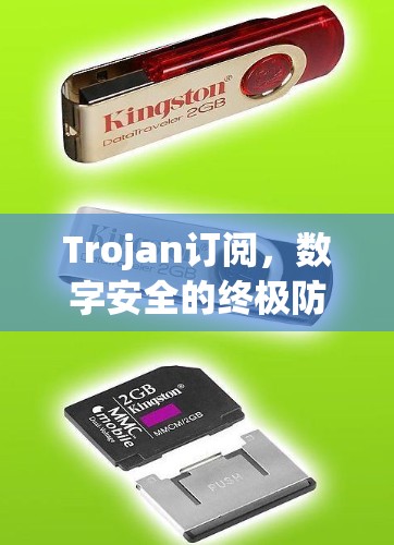 Trojan订阅,数字安全的终极防线