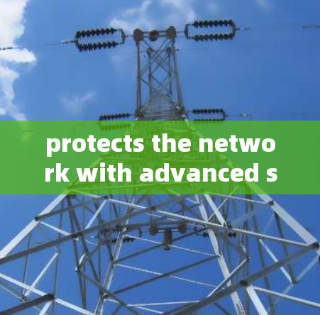 protects the network with advanced security solutions