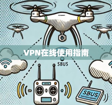VPN在线使用指南