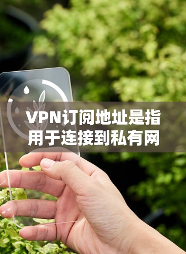 VPN订阅地址是指用于连接到私有网络的网络地址或服务器。以下是关于如何获取和使用VPN订阅地址的详细信息
