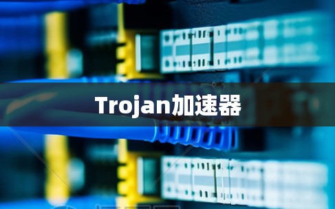 Trojan加速器