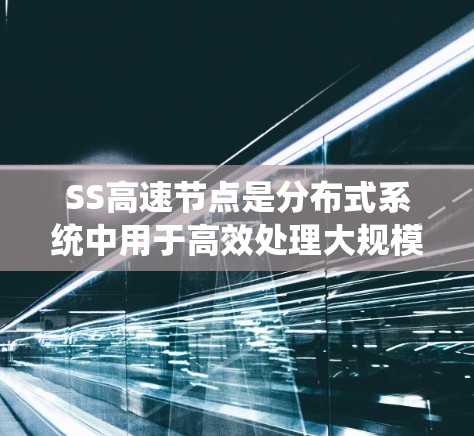 SS高速节点是分布式系统中用于高效处理大规模数据和任务的核心网络架构组件。以下是对SS高速节点的详细说明