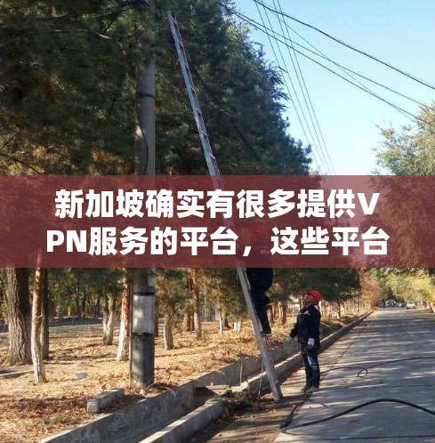 新加坡确实有很多提供VPN服务的平台,这些平台通常提供免费、流畅的网络连接。以下是一些推荐的VPN服务
