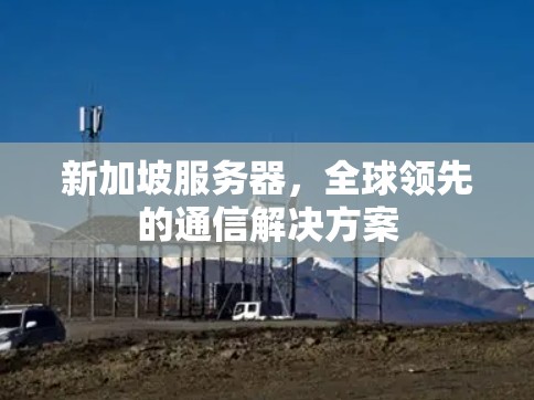 新加坡服务器,全球领先的通信解决方案