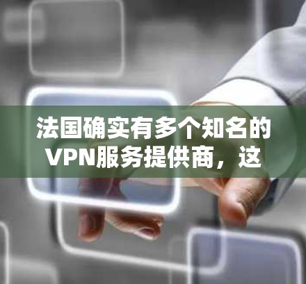 法国确实有多个知名的VPN服务提供商,这些服务致力于提供安全、可靠且价格较低的VPN解决方案。以下是法国的一些主要VPN服务