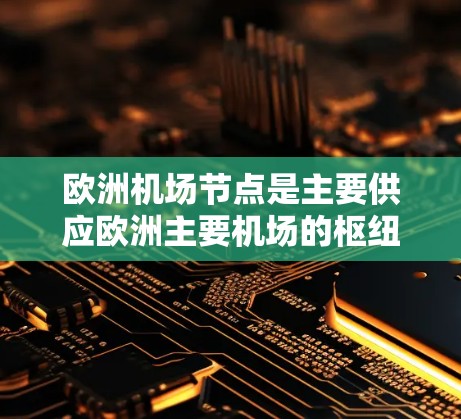 欧洲机场节点是主要供应欧洲主要机场的枢纽,它们在航空运输中扮演着关键角色。以下是对这些节点的详细分析