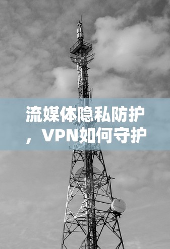 流媒体隐私防护,VPN如何守护你的数据
