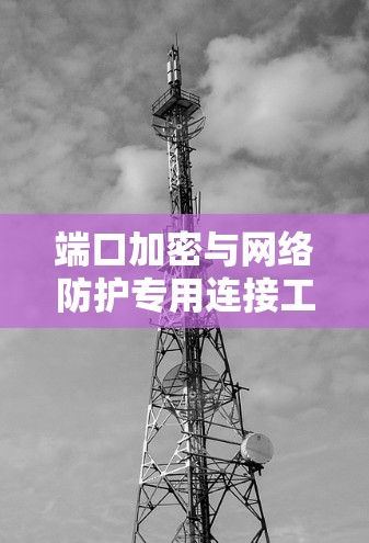端口加密与网络防护专用连接工具