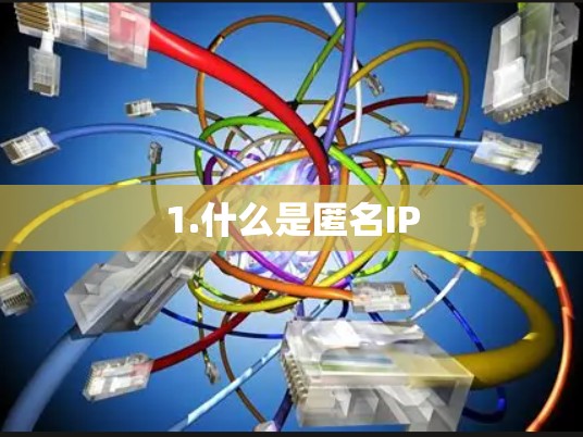 1.什么是匿名IP
