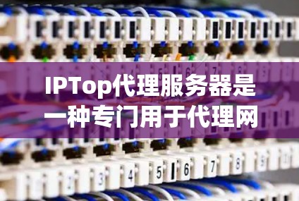 IPTop代理服务器是一种专门用于代理网络请求的服务器,旨在提高网络性能。以下是对IPTop代理服务器的详细介绍