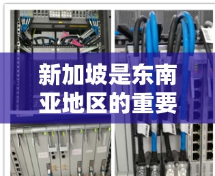 新加坡是东南亚地区的重要经济中心,拥有丰富的网络服务提供商。新加坡的IP代理通常是指为用户提供网络服务、技术支持或硬件设备的代理服务。以下是一些关于新加坡IP代理的要点和信息,供参考