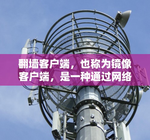 翻墙客户端，也称为镜像客户端，是一种通过网络实现文件上传、下载和资源分享的客户端工具。它们通过网络连接到服务器，将文件或资源进行镜像复制，供用户访问。以下是一些常见的翻墙客户端及其特点