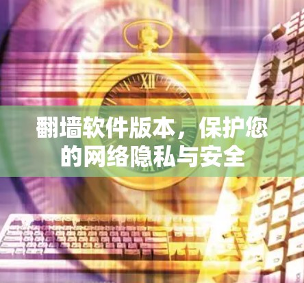 翻墙软件版本，保护您的网络隐私与安全