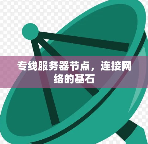 专线服务器节点，连接网络的基石