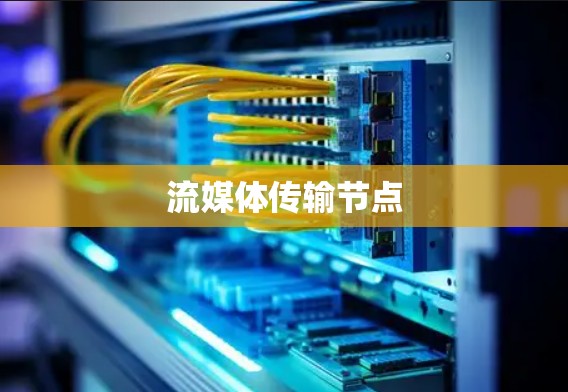 流媒体传输节点 流媒体传输节点