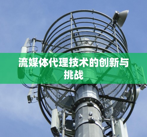 流媒体代理技术的创新与挑战