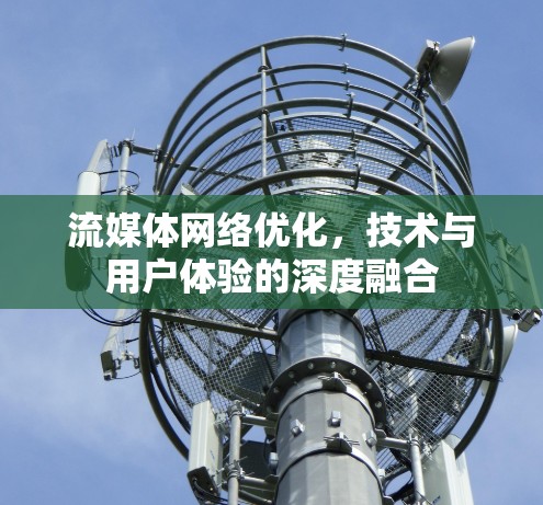 流媒体网络优化,技术与用户体验的深度融合 流媒体网络优化,技术与用户体验的深度融合