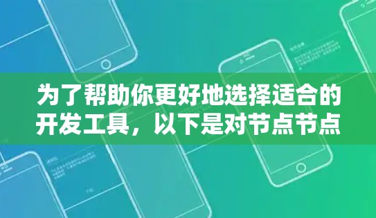 为了帮助你更好地选择适合的开发工具,以下是对节点节点的详细分析和建议